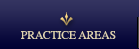 Practice Areas